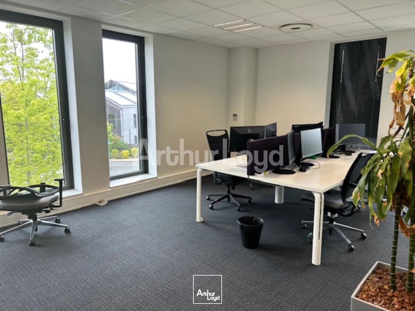 Bureaux - Location - LESQUIN - 59810 - 640.36-1976.73 - 7721674