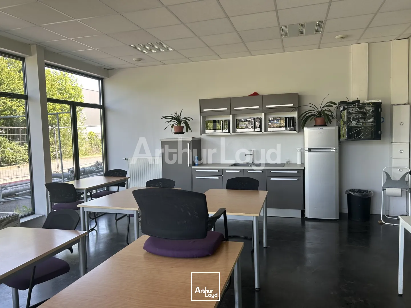 Locaux d'activité & Entrepôts - Location - SAINGHIN EN MELANTOIS - 59262 - 2259-2259 - 7721761