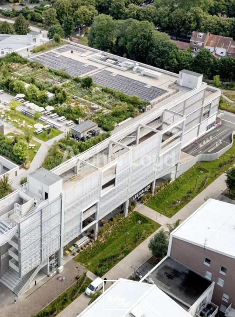 Bureaux - Location - VILLENEUVE D'ASCQ - 59650 - 334-1200 - 7721807