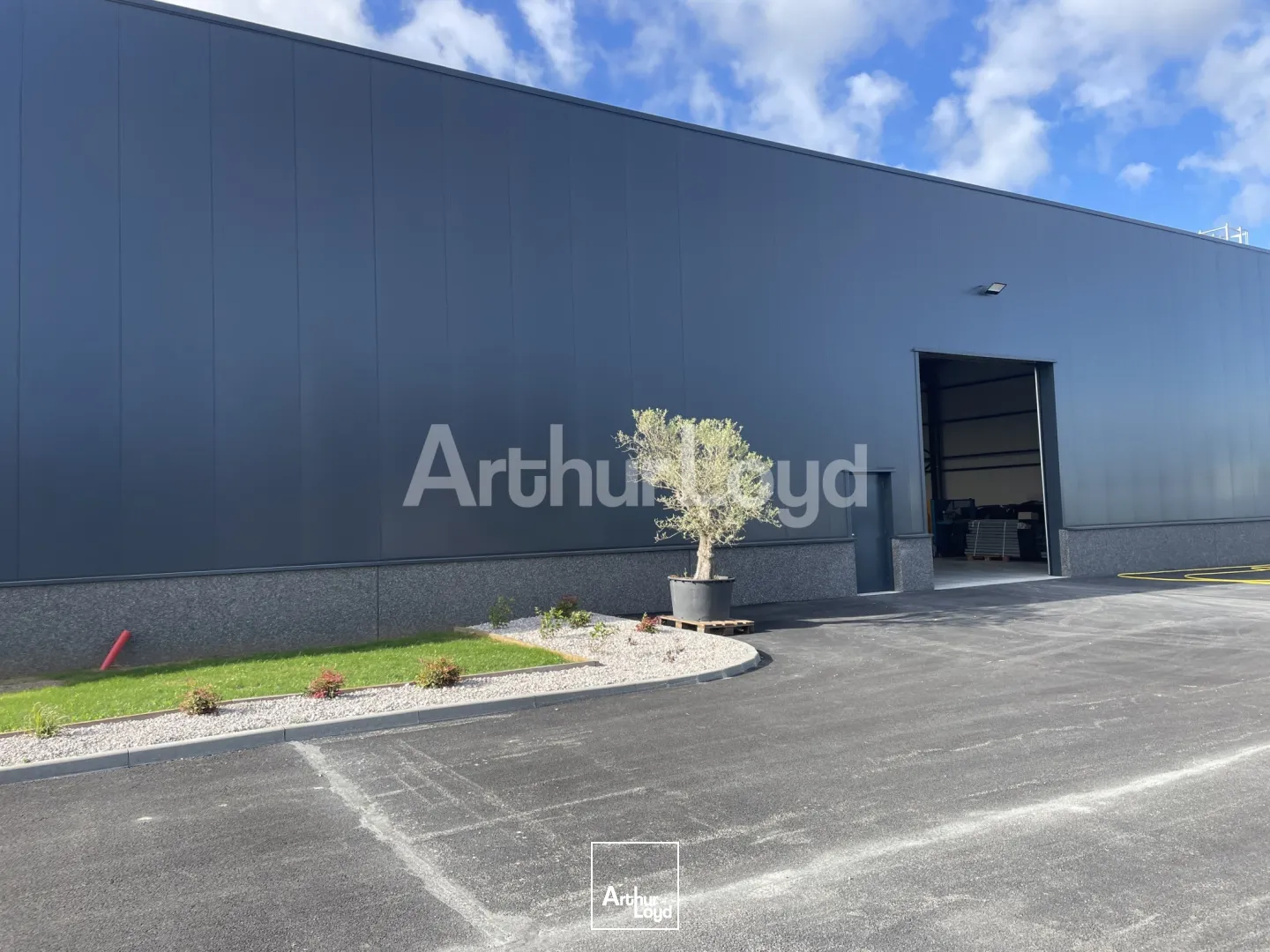 Locaux d'activité & Entrepôts - Location - THELUS - 62580 - 960-960 - 7721833