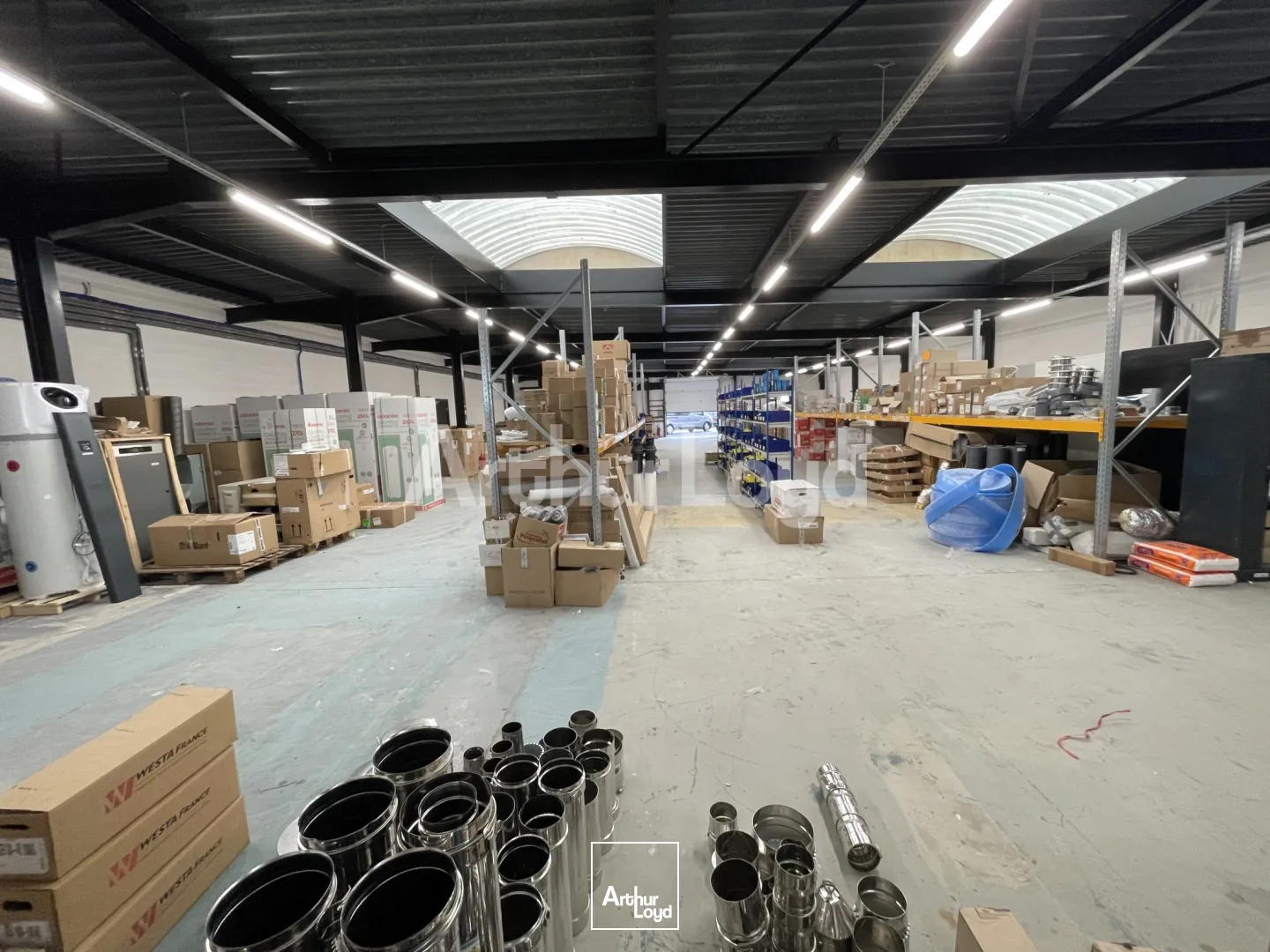 Locaux d'activité & Entrepôts - Location - SECLIN - 59113 - 1000-1000 - 7721842