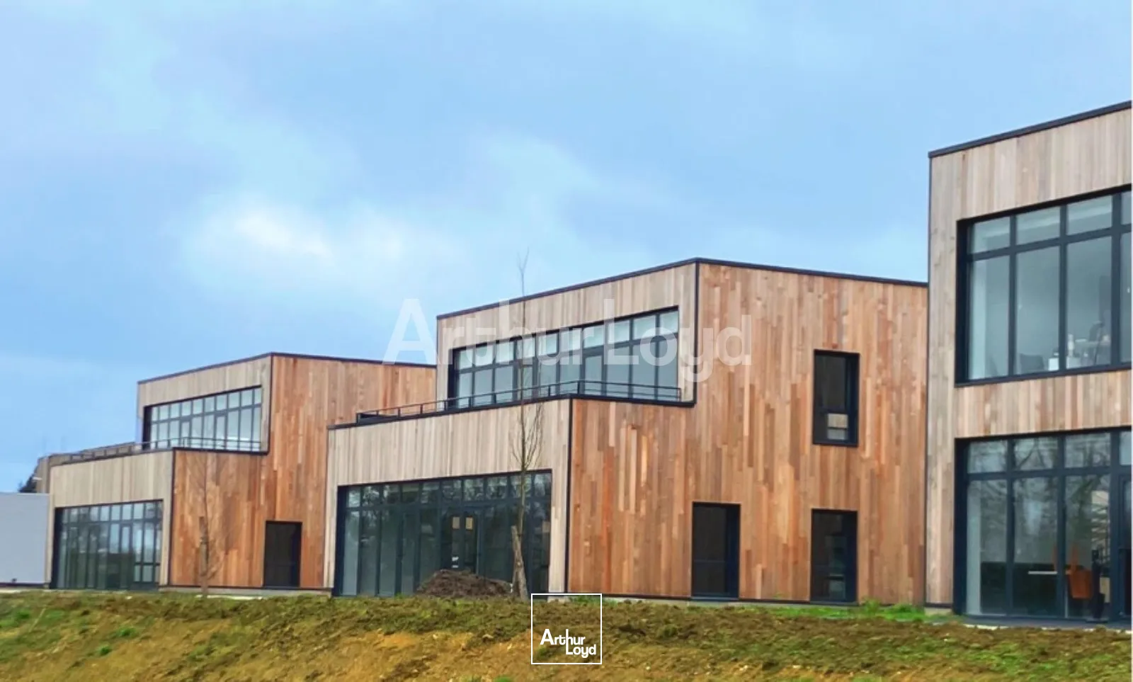 Bureaux - Location - ARRAS - 62000 - 592-3213 - 7721898