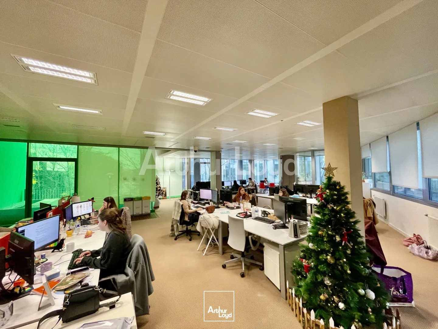 Bureaux - Location - LILLE - 59000 - 579-4536 - 7721962