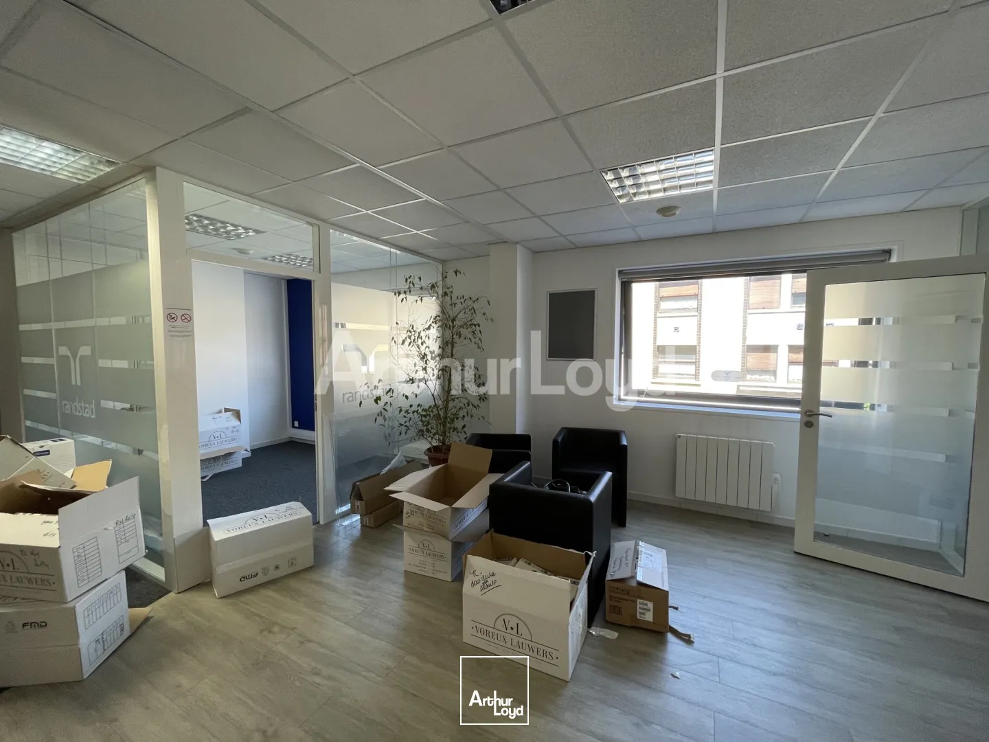 Bureaux - Location - BETHUNE - 62400 - 195-195 - 7721967