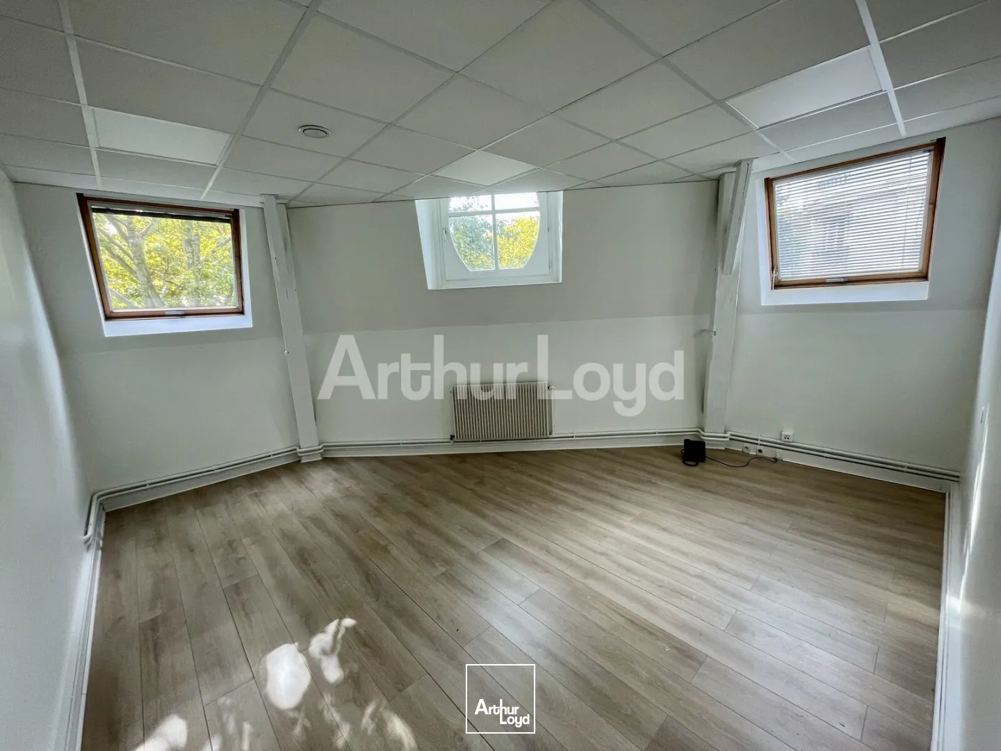 Bureaux - Location - LILLE - 59000 - 213-213 - 7722129