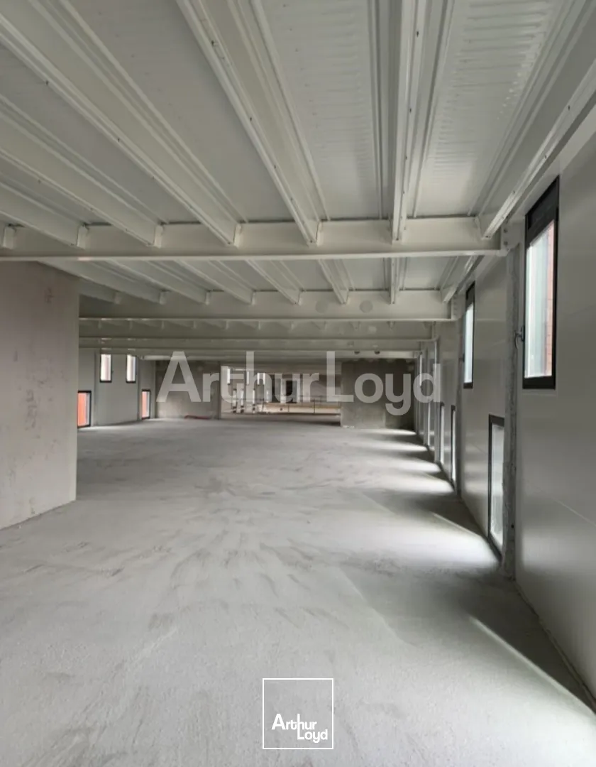 Locaux commerciaux - Location - LILLE - 59000 - 312-2541 - 7722199