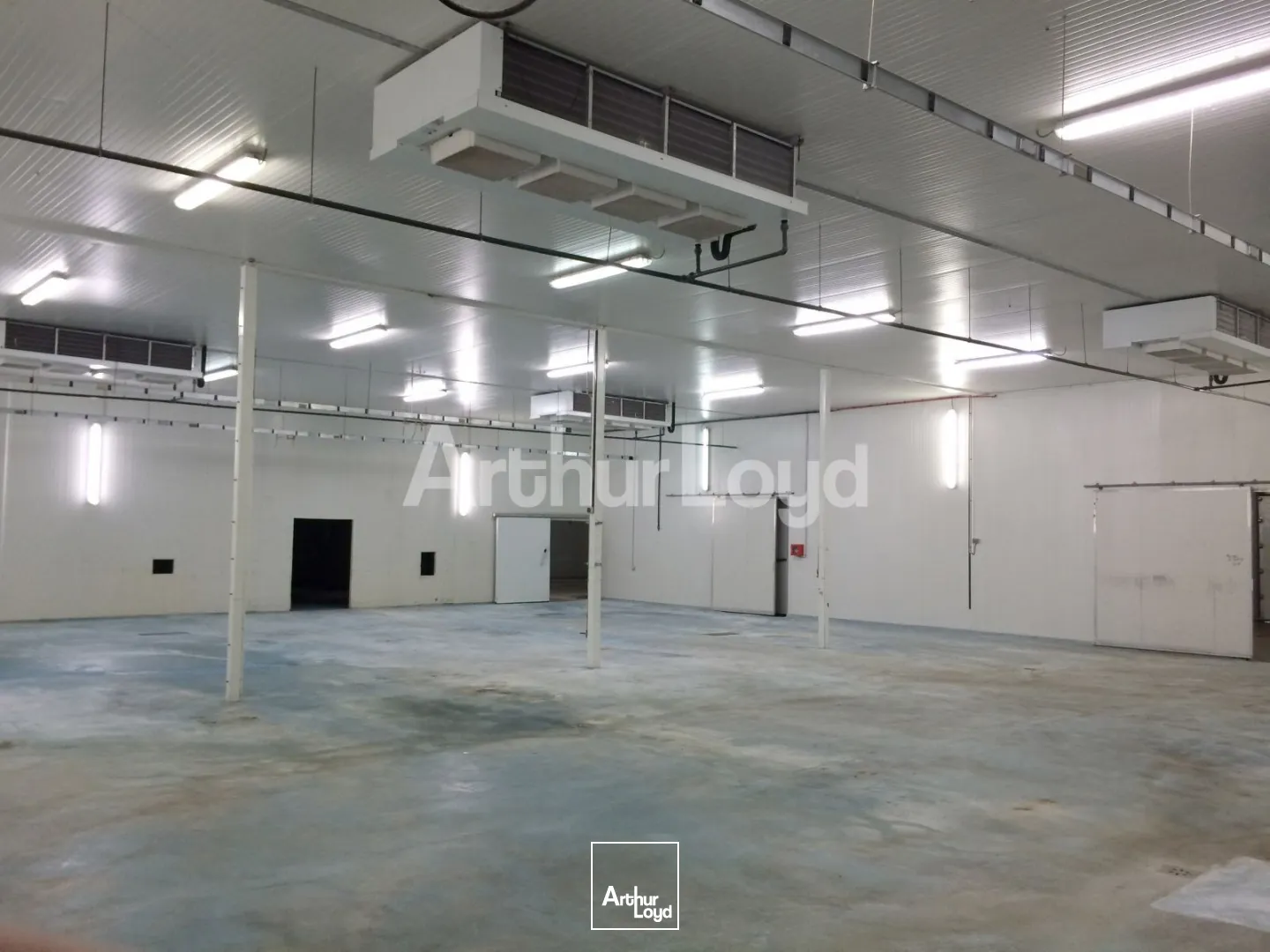 Locaux d'activité & Entrepôts - Location - MONCHY LE PREUX - 62118 - 1305-1305 - 7722295