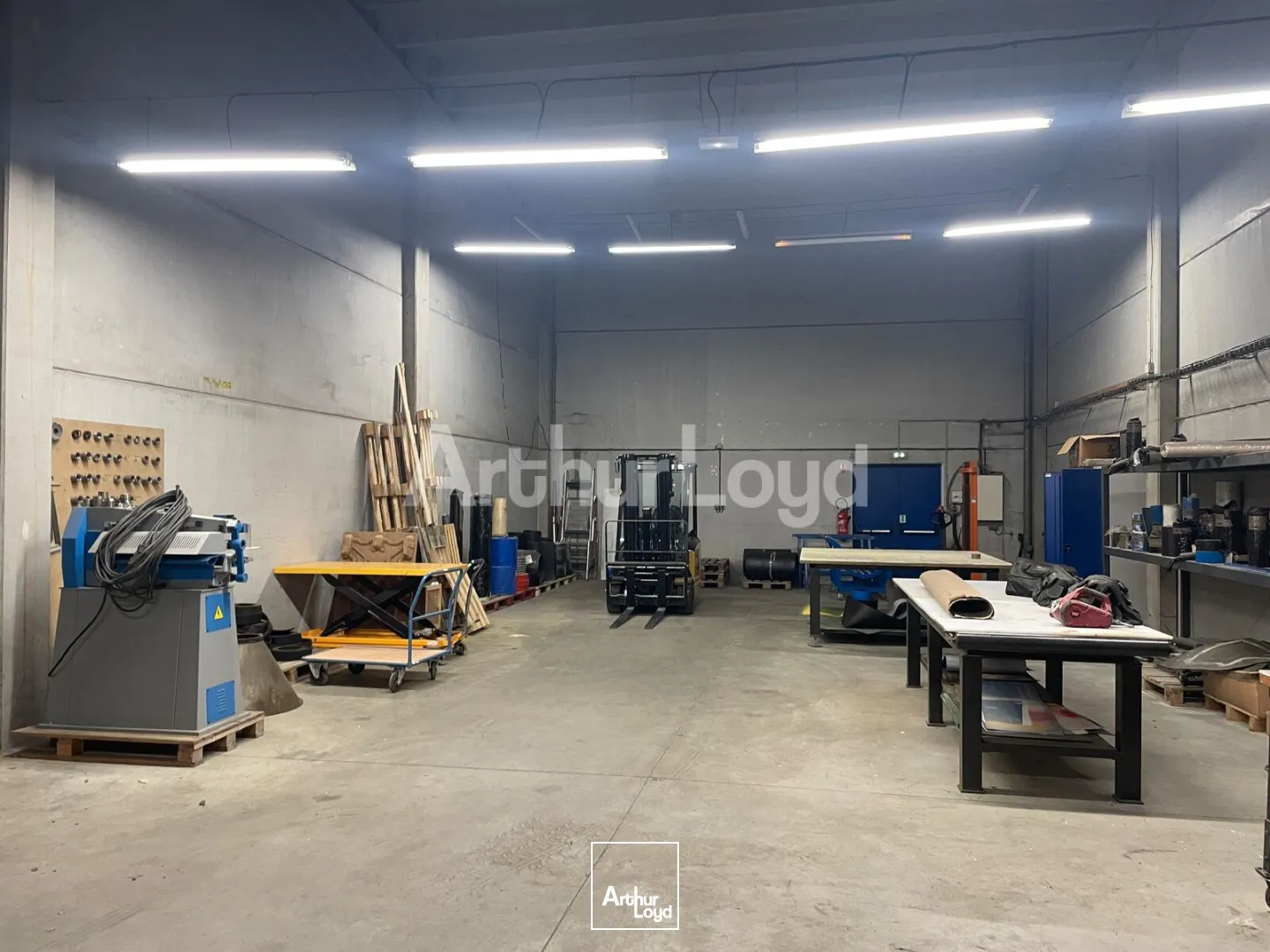 Locaux d'activité & Entrepôts - Location - TRITH SAINT LEGER - 59125 - 247-247 - 7722452