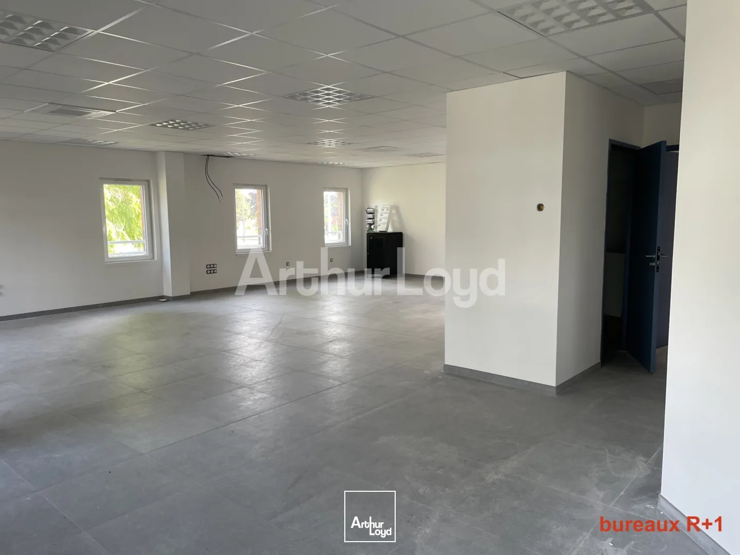 Locaux d'activité & Entrepôts - Location - TRITH SAINT LEGER - 59125 - 131-2816 - 7722458