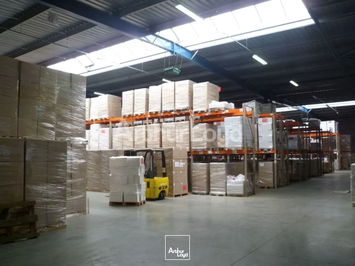 Locaux d'activité & Entrepôts - Location - RONCQ - 59223 - 2556-2556 - 7722511