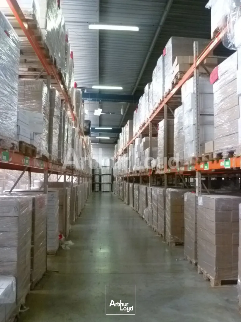 Locaux d'activité & Entrepôts - Location - RONCQ - 59223 - 2556-2556 - 7722512