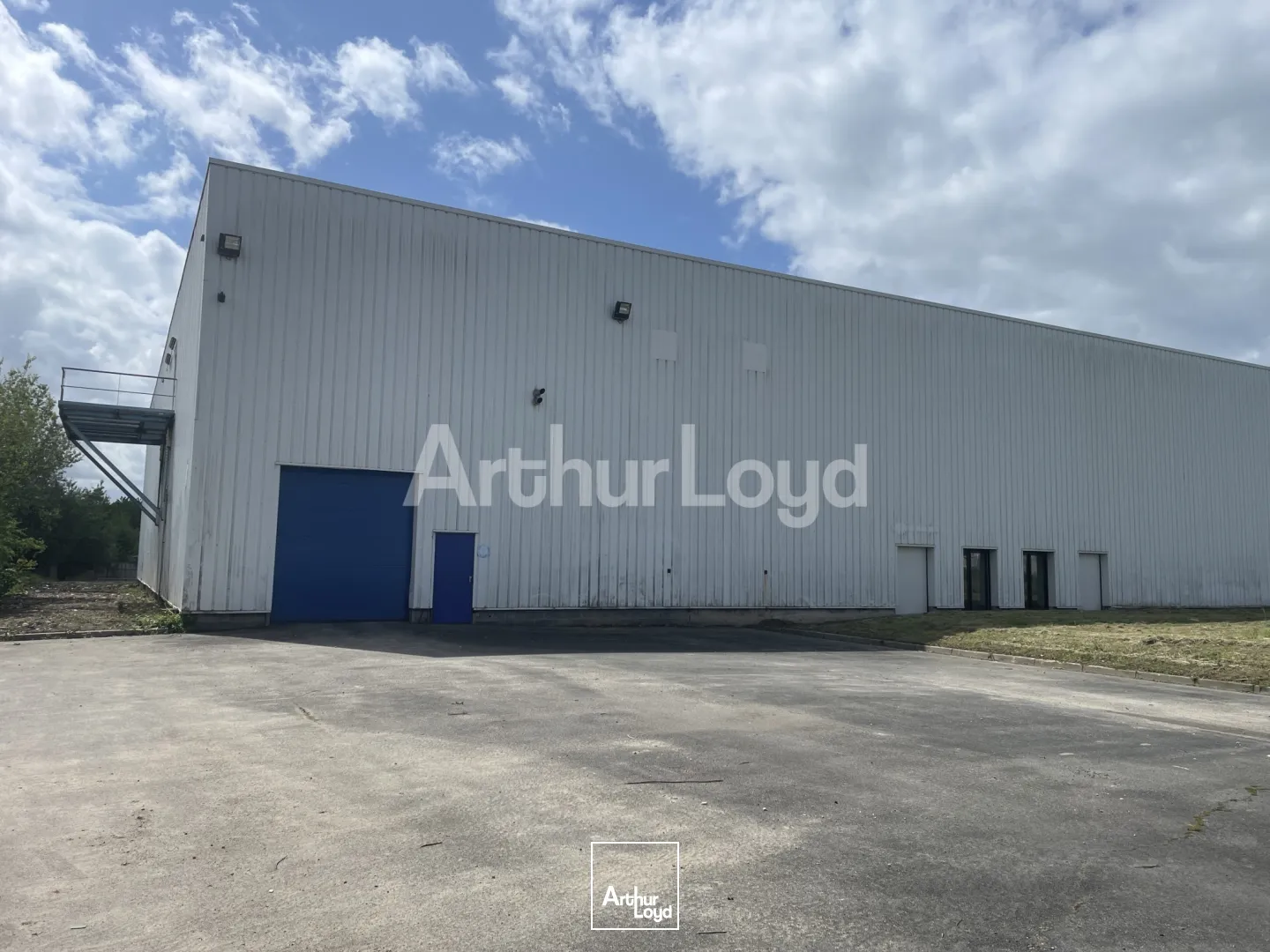 Locaux d'activité & Entrepôts - Location - TRITH SAINT LEGER - 59125 - 1000-1000 - 7722587