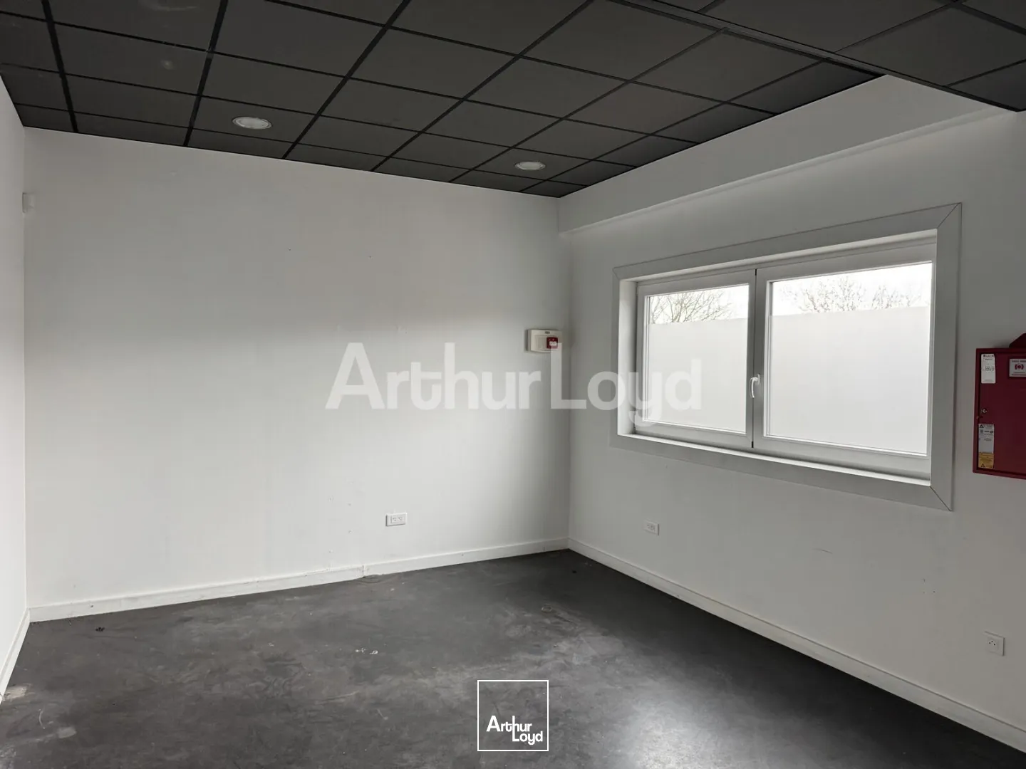 Locaux d'activité & Entrepôts - Location - RONCQ - 59223 - 2008.96-2008.96 - 7722680