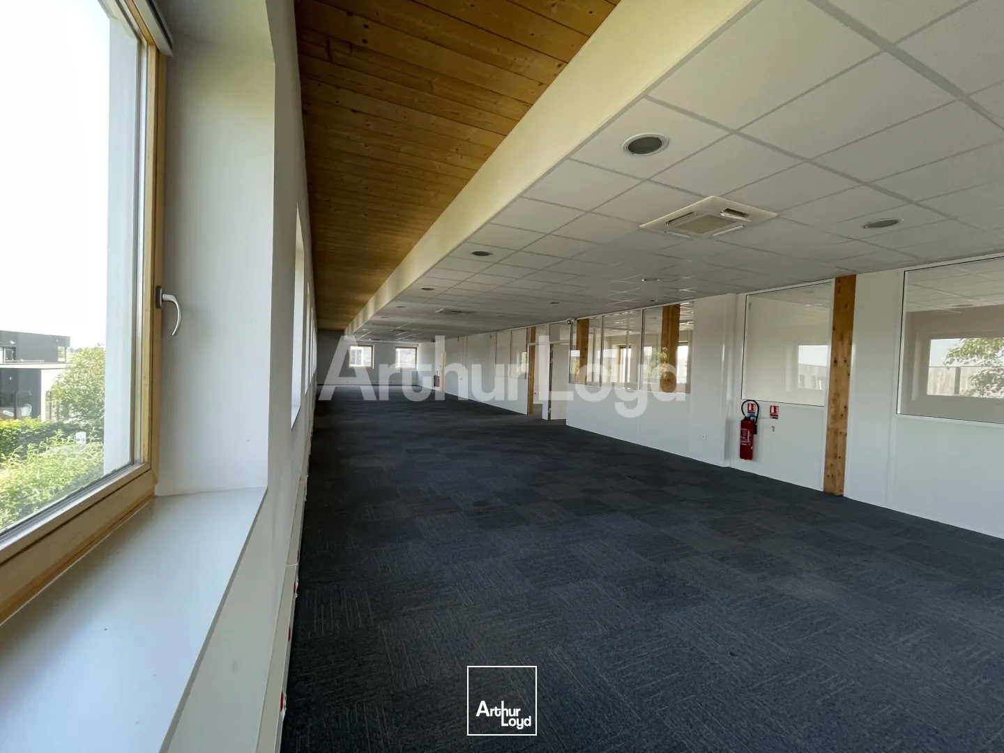 Bureaux - Location - SAINGHIN EN MELANTOIS - 59262 - 356-356 - 7723309