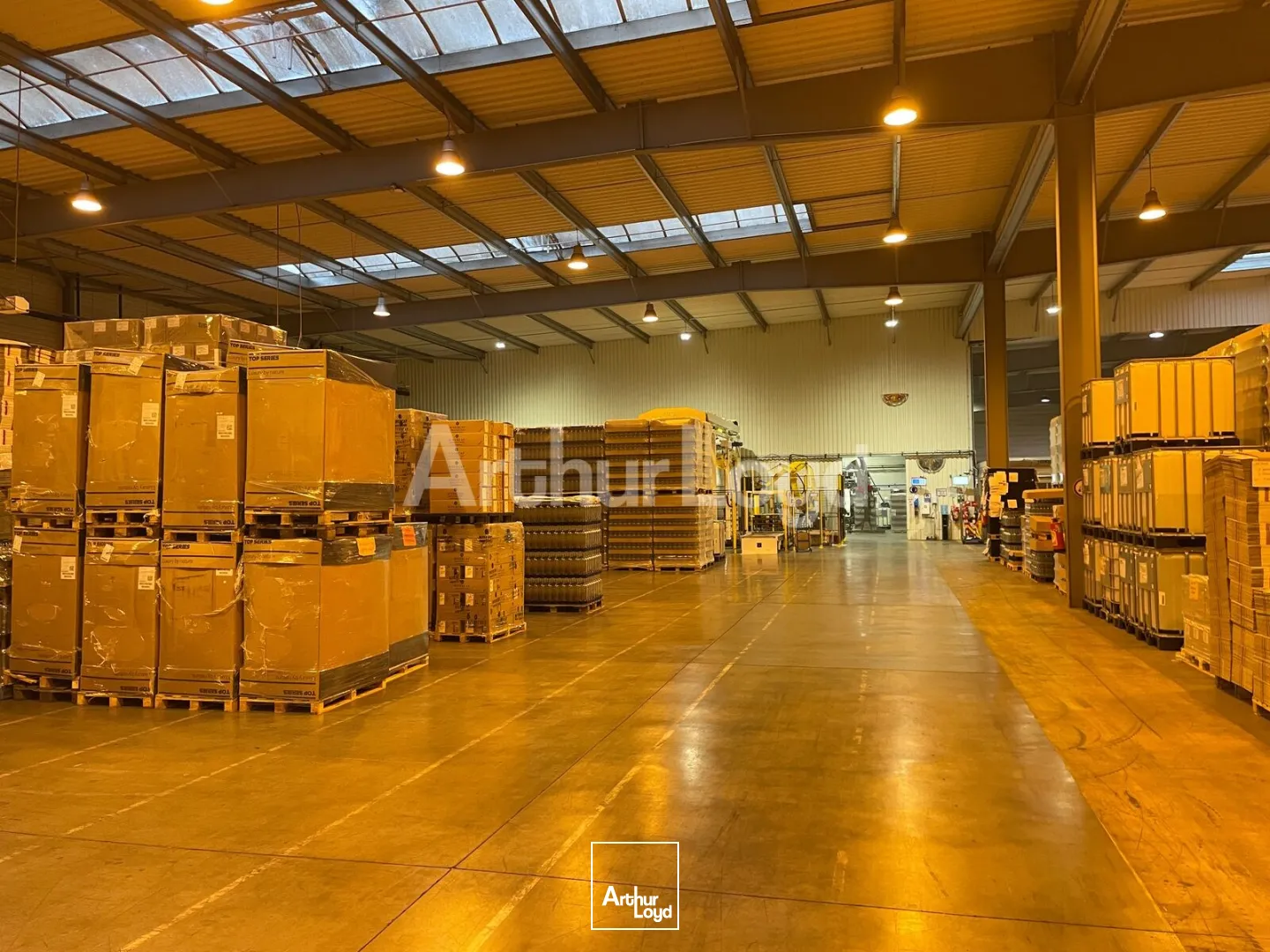 Locaux d'activité & Entrepôts - Location - DOUAI - 59500 - 8200-8200 - 7723482