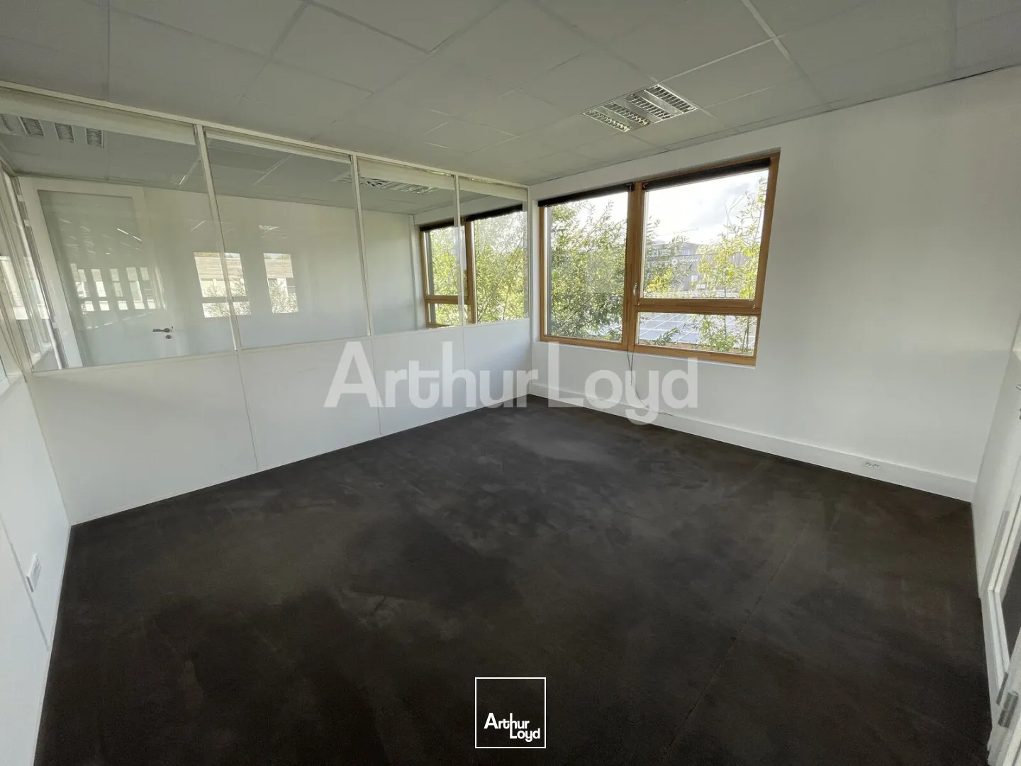 Bureaux - Location - VILLENEUVE D'ASCQ - 59650 - 221-710.25 - 7723504