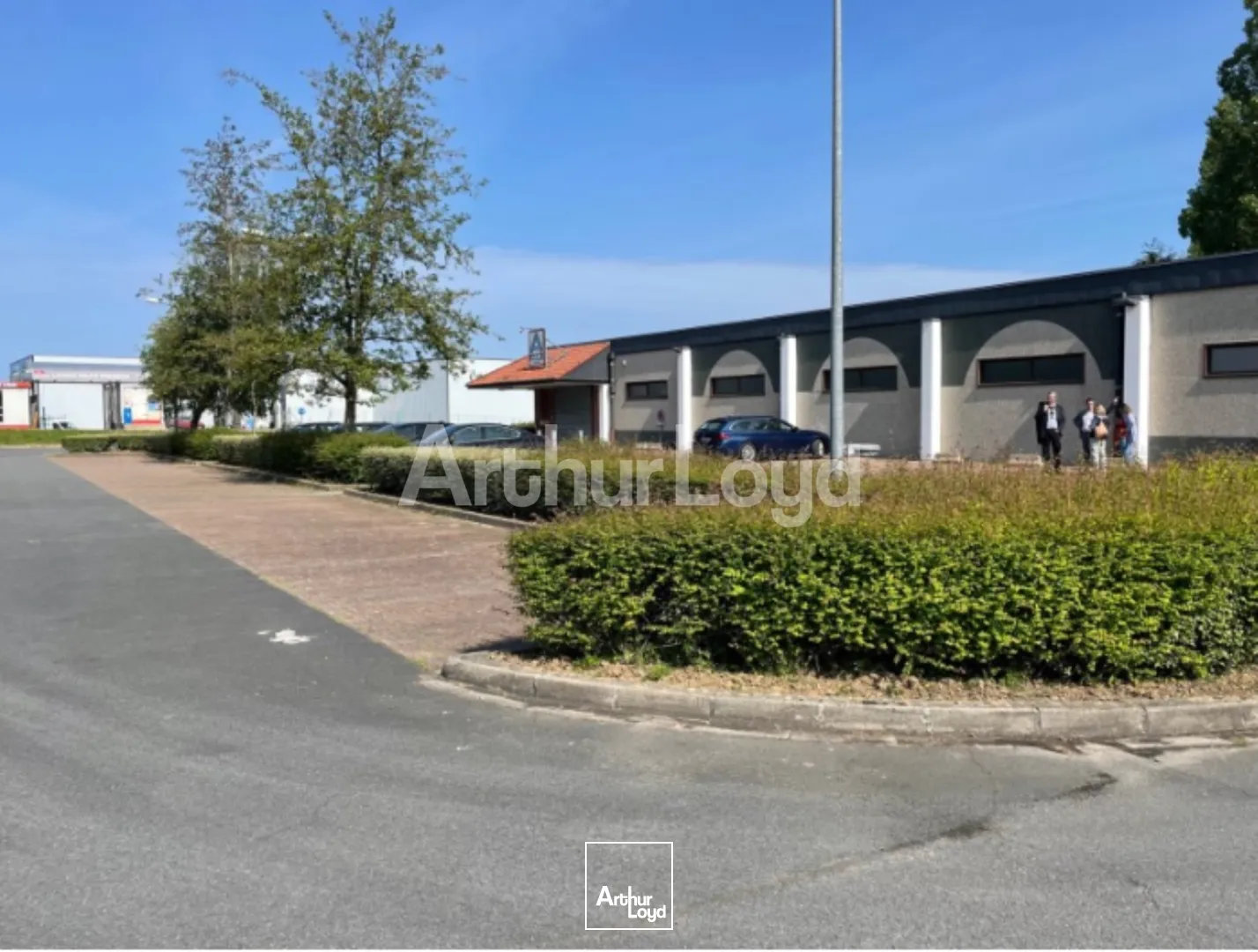 Locaux commerciaux - Location - BEAURAINVILLE - 62990 - 236-1082 - 7723569