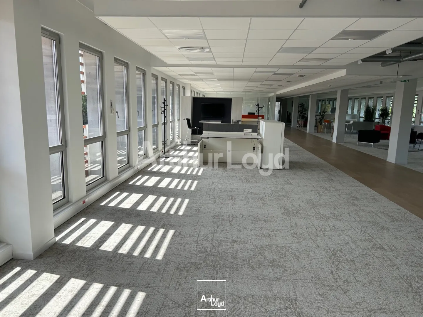 Bureaux - Location - VILLENEUVE D'ASCQ - 59650 - 1783-7430 - 7723686