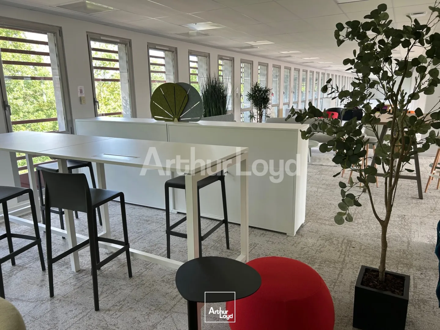 Bureaux - Location - VILLENEUVE D'ASCQ - 59650 - 1783-7430 - 7723689