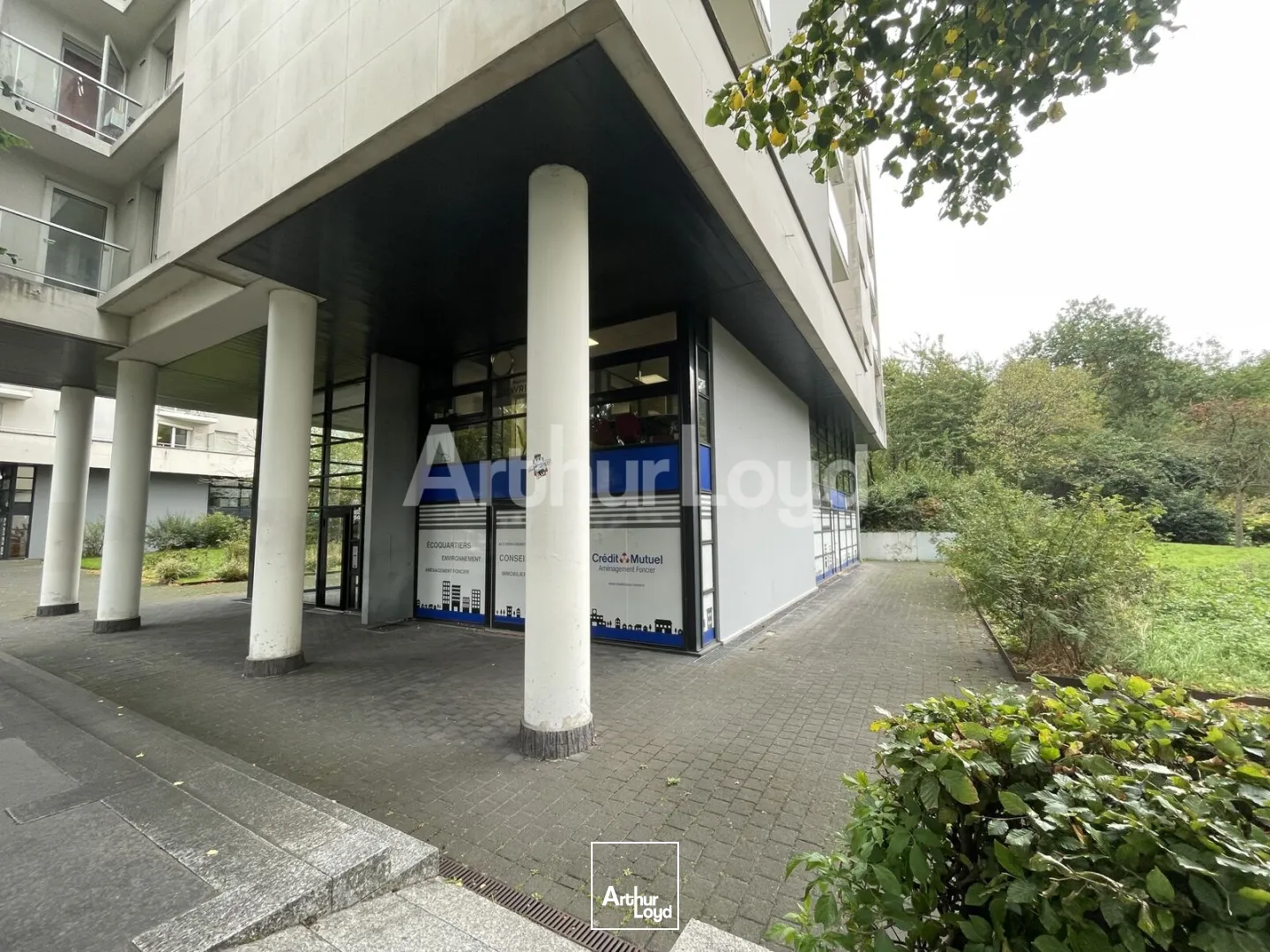 Locaux commerciaux - Location - LILLE - 59000 - 175-175 - 7723787