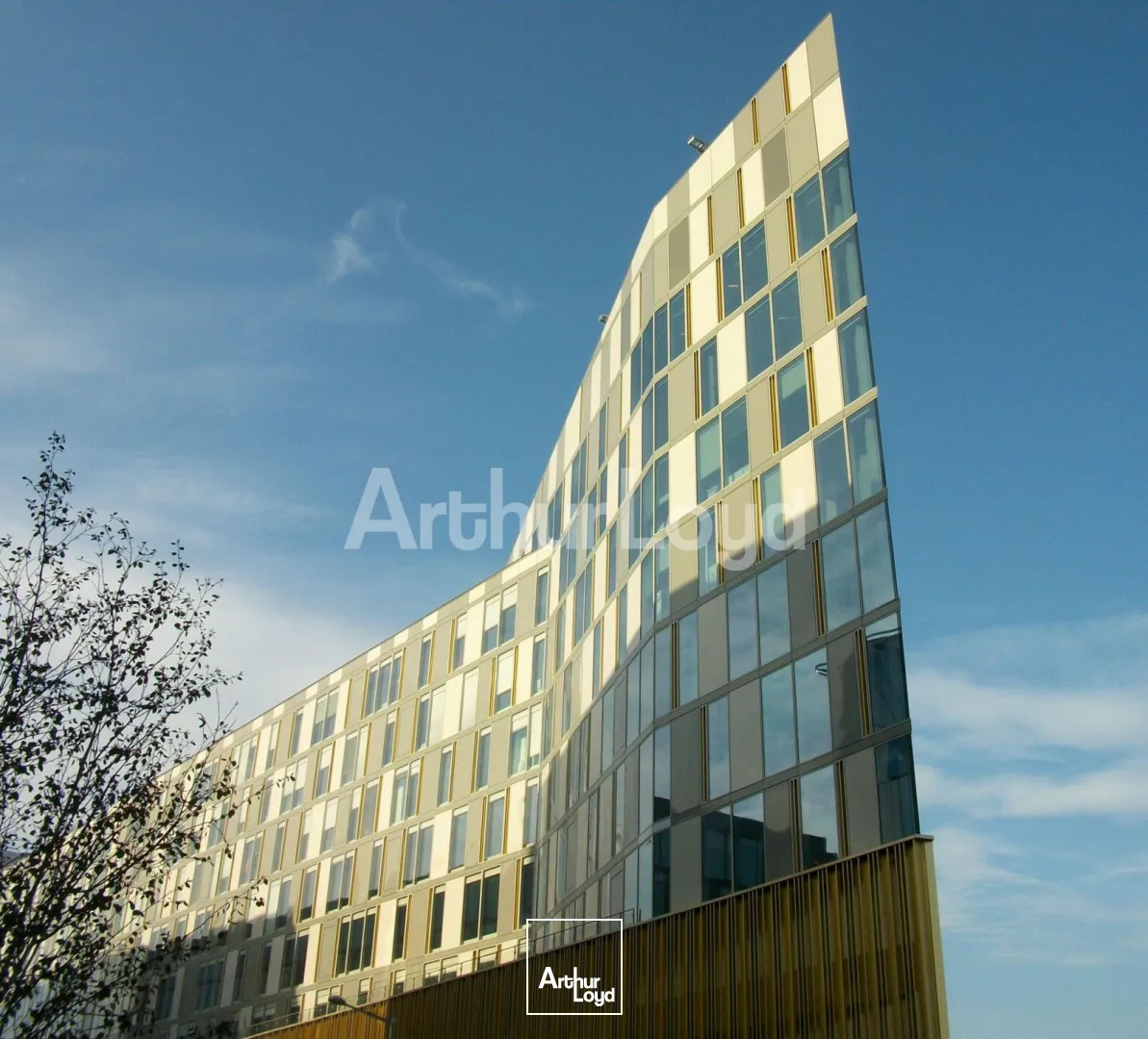 Bureaux - Location - LILLE - 59000 - 37-979 - 7723986