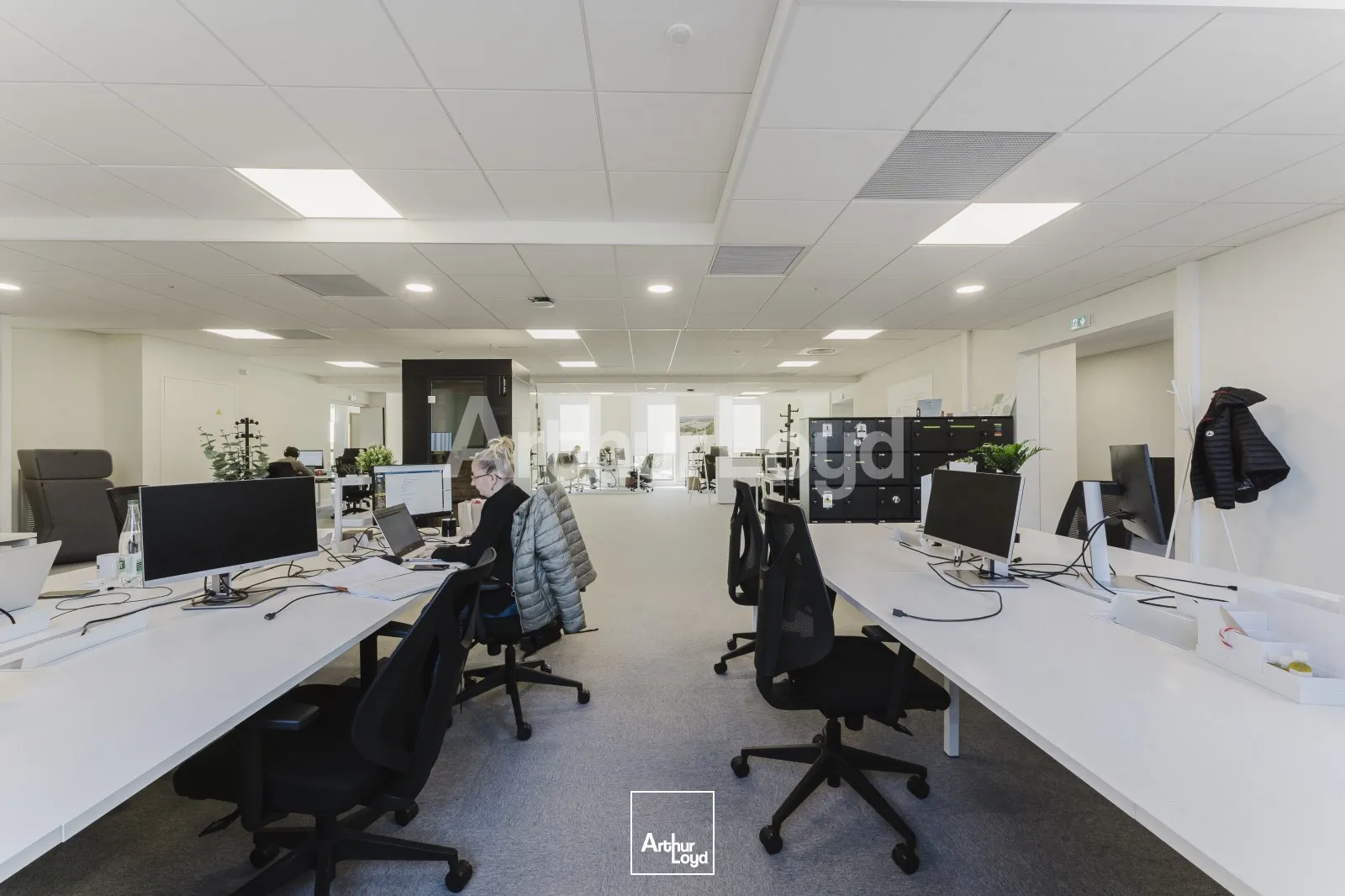 Bureaux - Location - VILLENEUVE D'ASCQ - 59650 - 82-3098 - 7724103