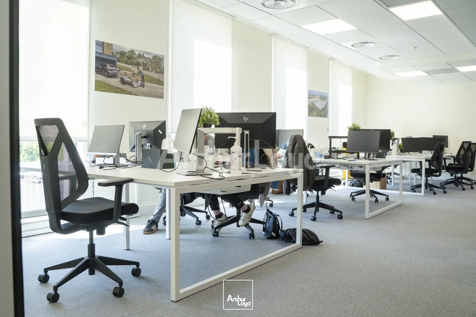 Bureaux - Location - VILLENEUVE D'ASCQ - 59650 - 82-3098 - 7724104