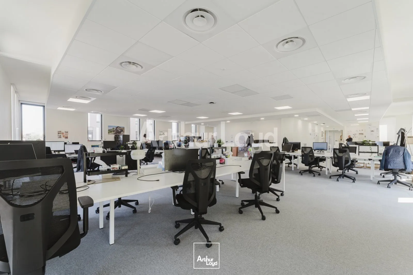 Bureaux - Location - VILLENEUVE D'ASCQ - 59650 - 82-3098 - 7724106