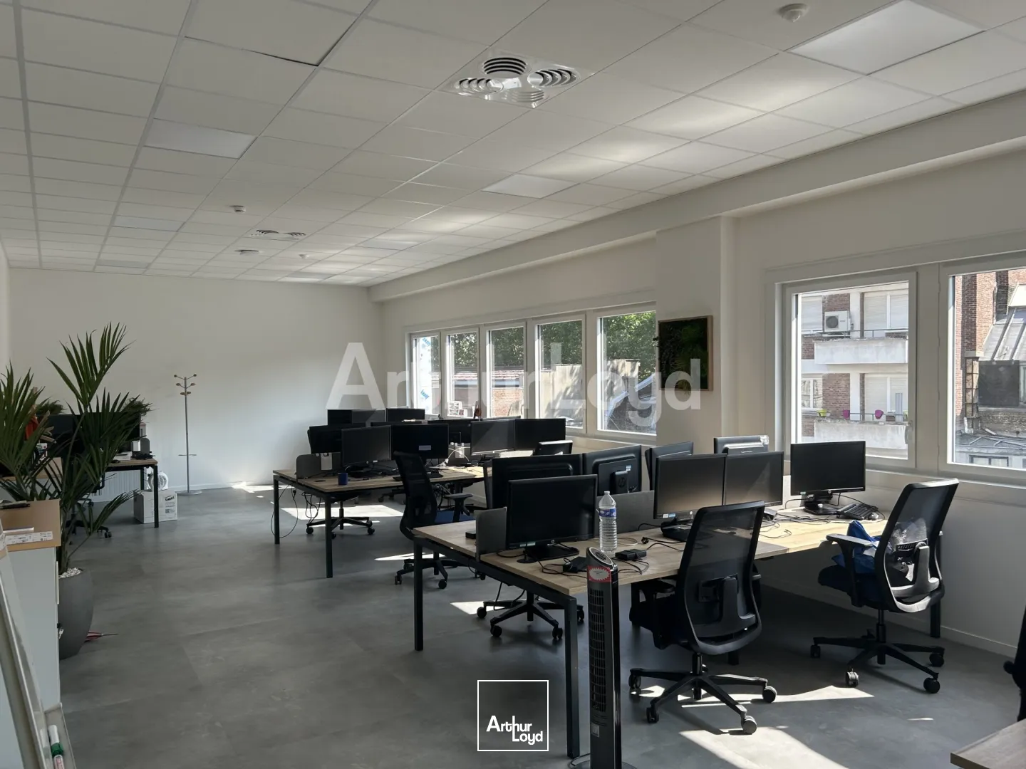 Bureaux - Location - LILLE - 59000 - 515-515 - 7724197