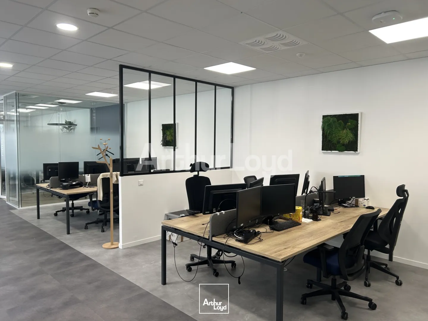 Bureaux - Location - LILLE - 59000 - 515-515 - 7724200