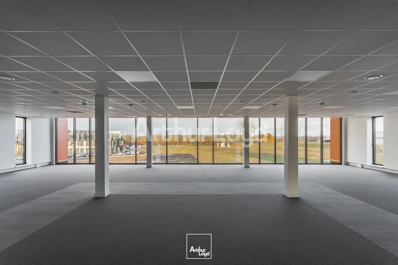 Bureaux - Location - LESQUIN - 59810 - 323.31-323.31 - 7724238