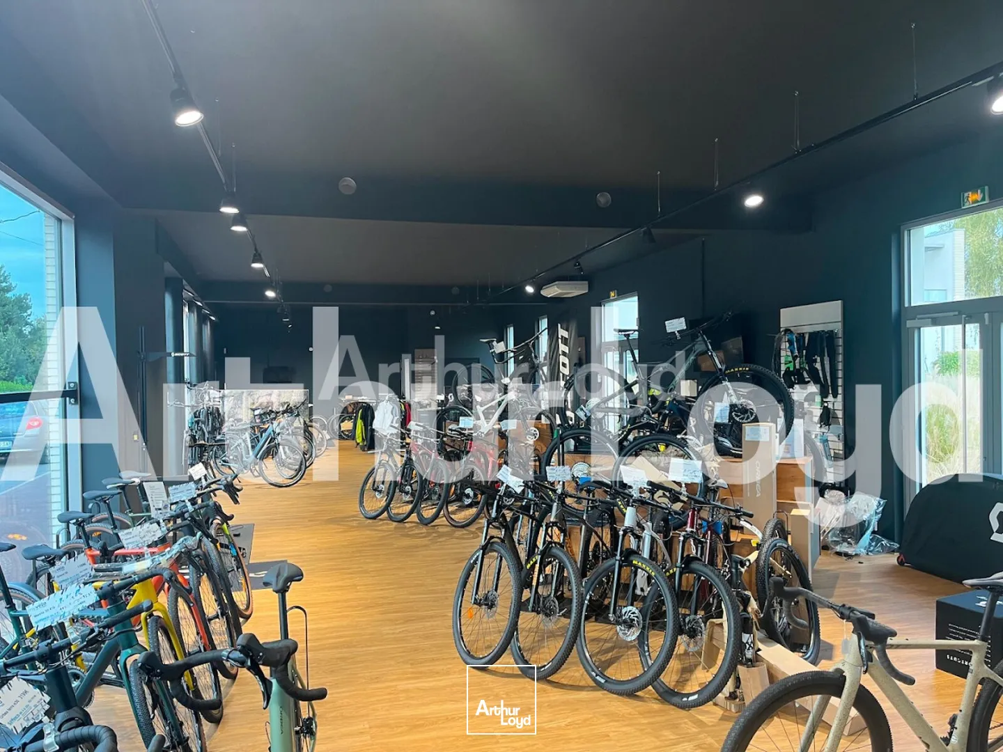 Locaux commerciaux - Location - BONDUES - 59910 - 103-419 - 7724379