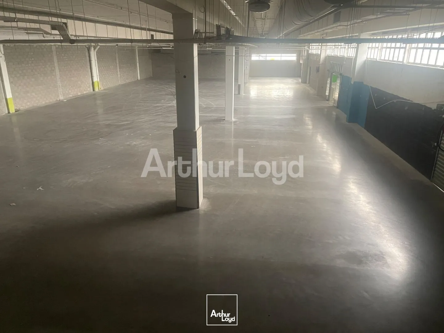 Locaux d'activité & Entrepôts - Location - Arras - 62000 - 354-1685 - 7724597