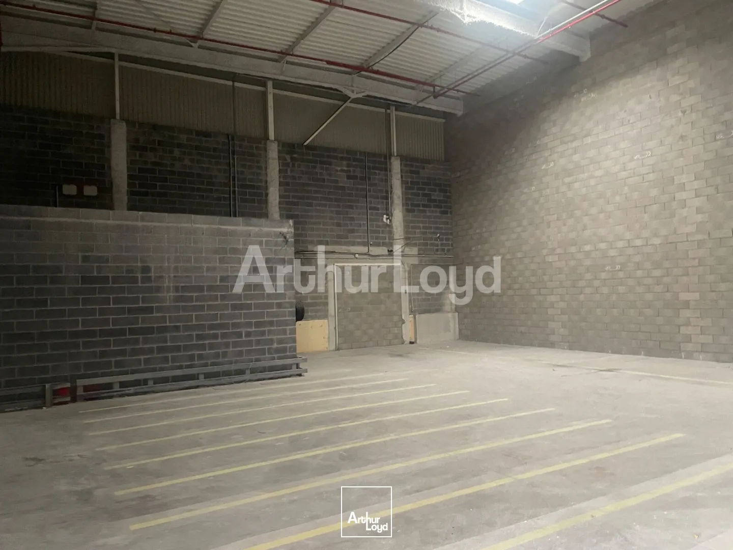 Locaux d'activité & Entrepôts - Location - Arras - 62000 - 354-1685 - 7724596