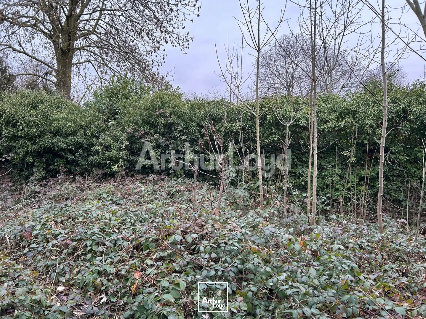 Locaux d'activité & Entrepôts - Vente - SAINT SAULVE - 59880 - 1400-1400 - 7724768