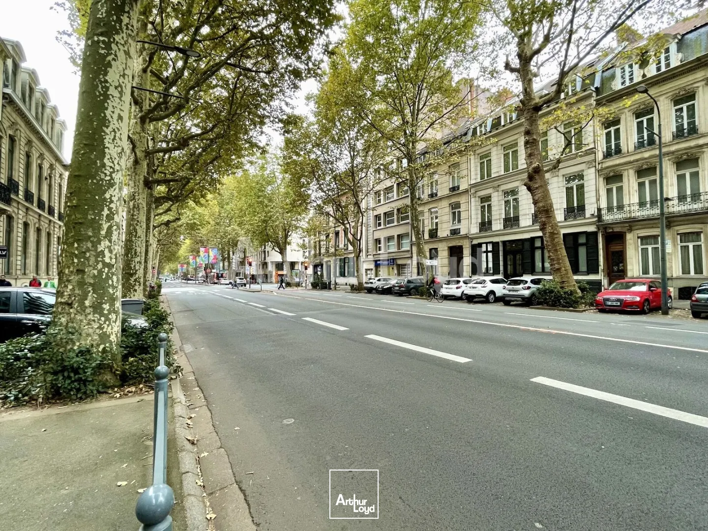 Bureaux - Location - LILLE - 59000 - 293-293 - 7724825