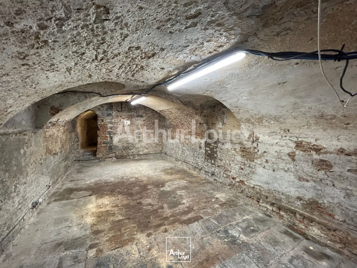 Locaux commerciaux - Location - LILLE - 59000 - 10-155 - 7724882