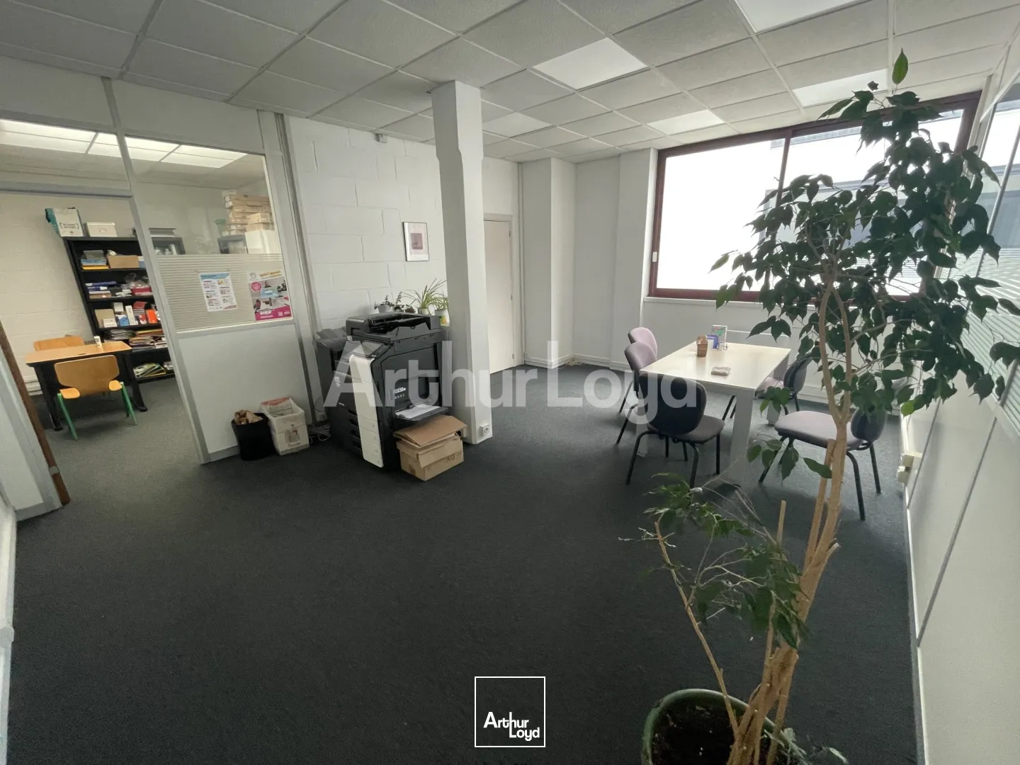 Bureaux - Location - LA MADELEINE - 59110 - 72-72 - 7724929