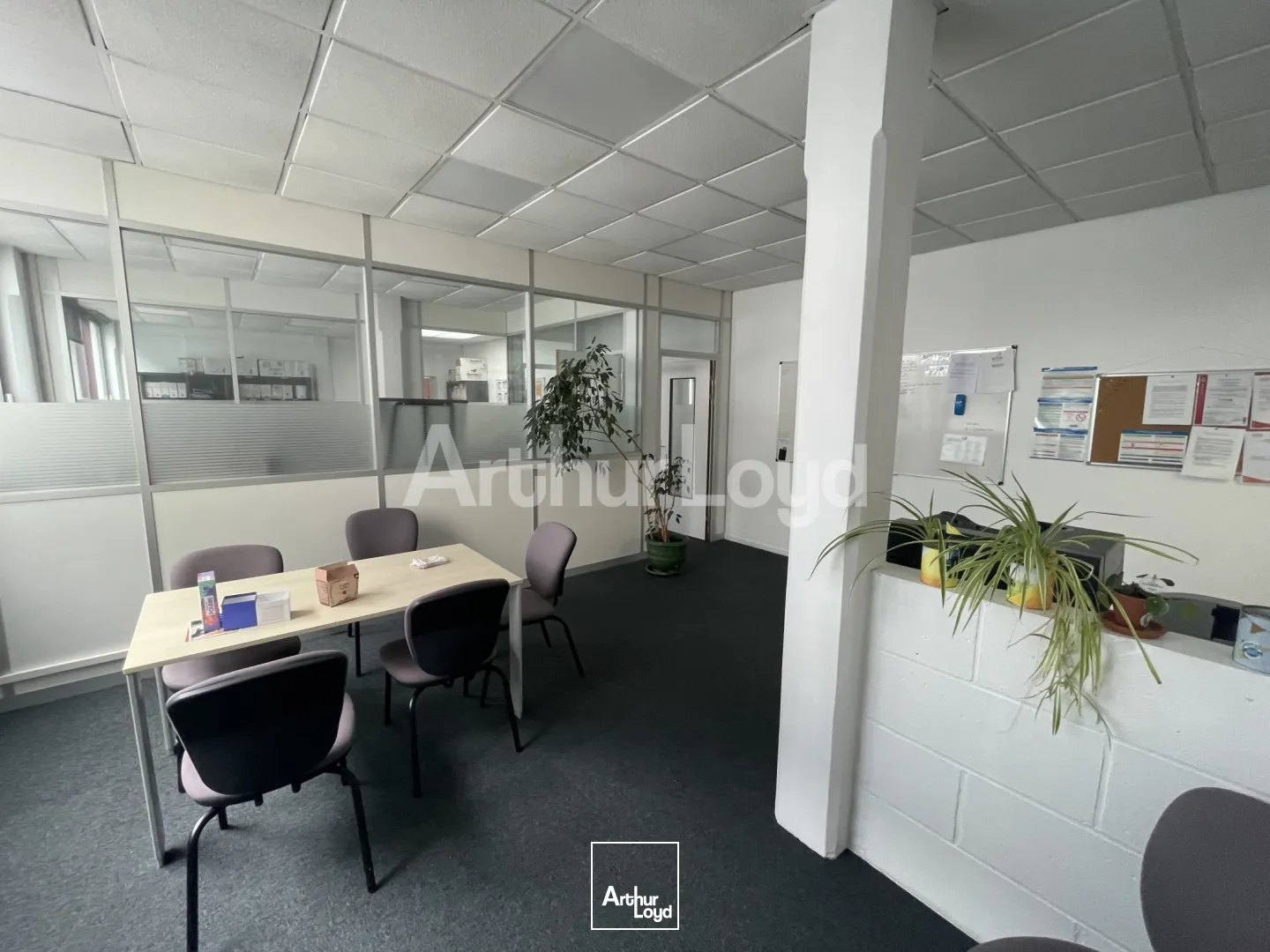 Bureaux - Location - LA MADELEINE - 59110 - 72-72 - 7724928