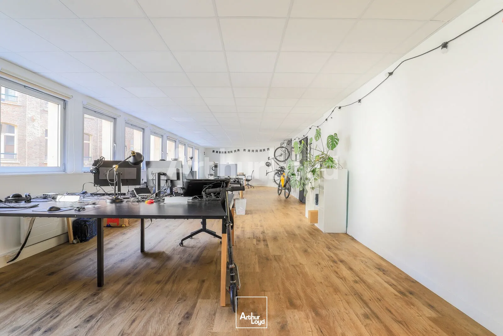 Bureaux - Location - LILLE - 59000 - 315-315 - 7725102