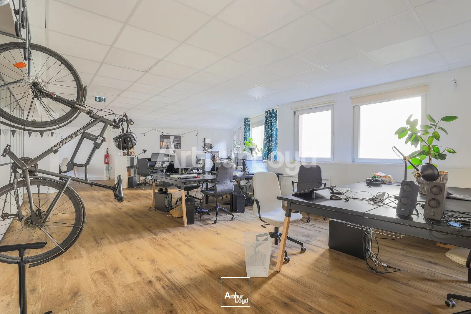 Bureaux - Location - LILLE - 59000 - 315-315 - 7725105