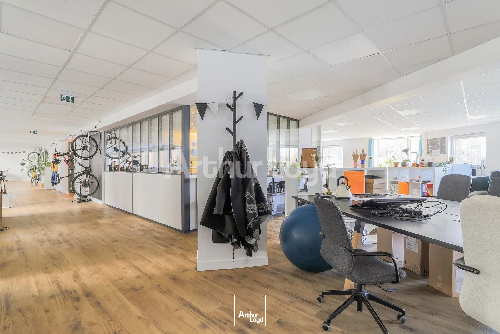 Bureaux - Location - LILLE - 59000 - 315-315 - 7725107