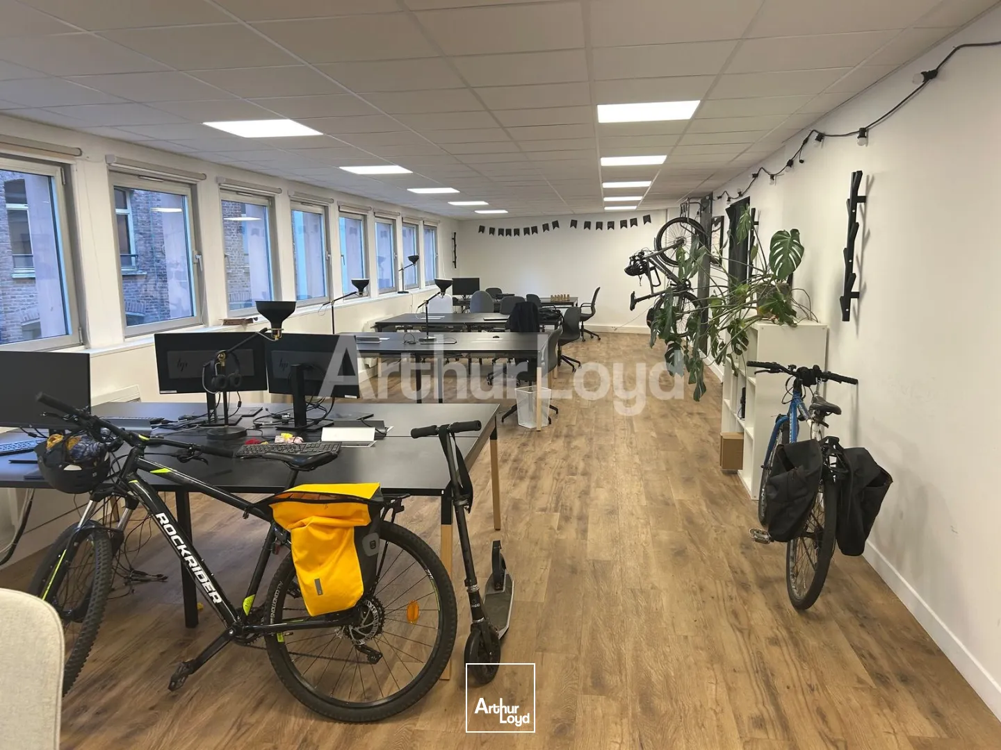 Bureaux - Location - LILLE - 59000 - 315-315 - 7725096