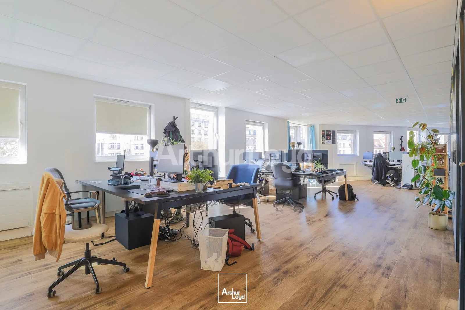 Bureaux - Location - LILLE - 59000 - 315-315 - 7725111