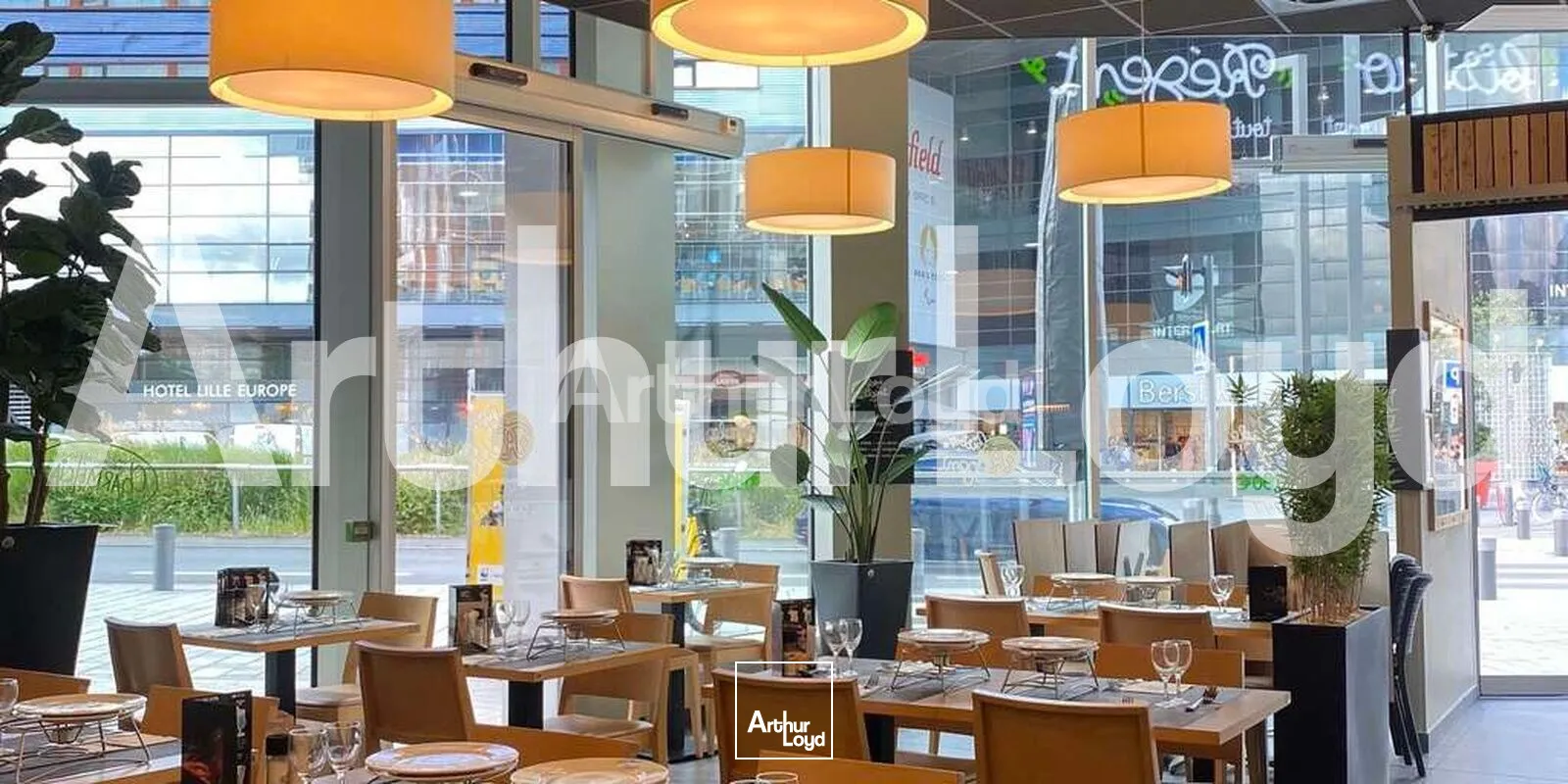 Locaux commerciaux - Location - LILLE - 59000 - 353.1-353.1 - 7725226