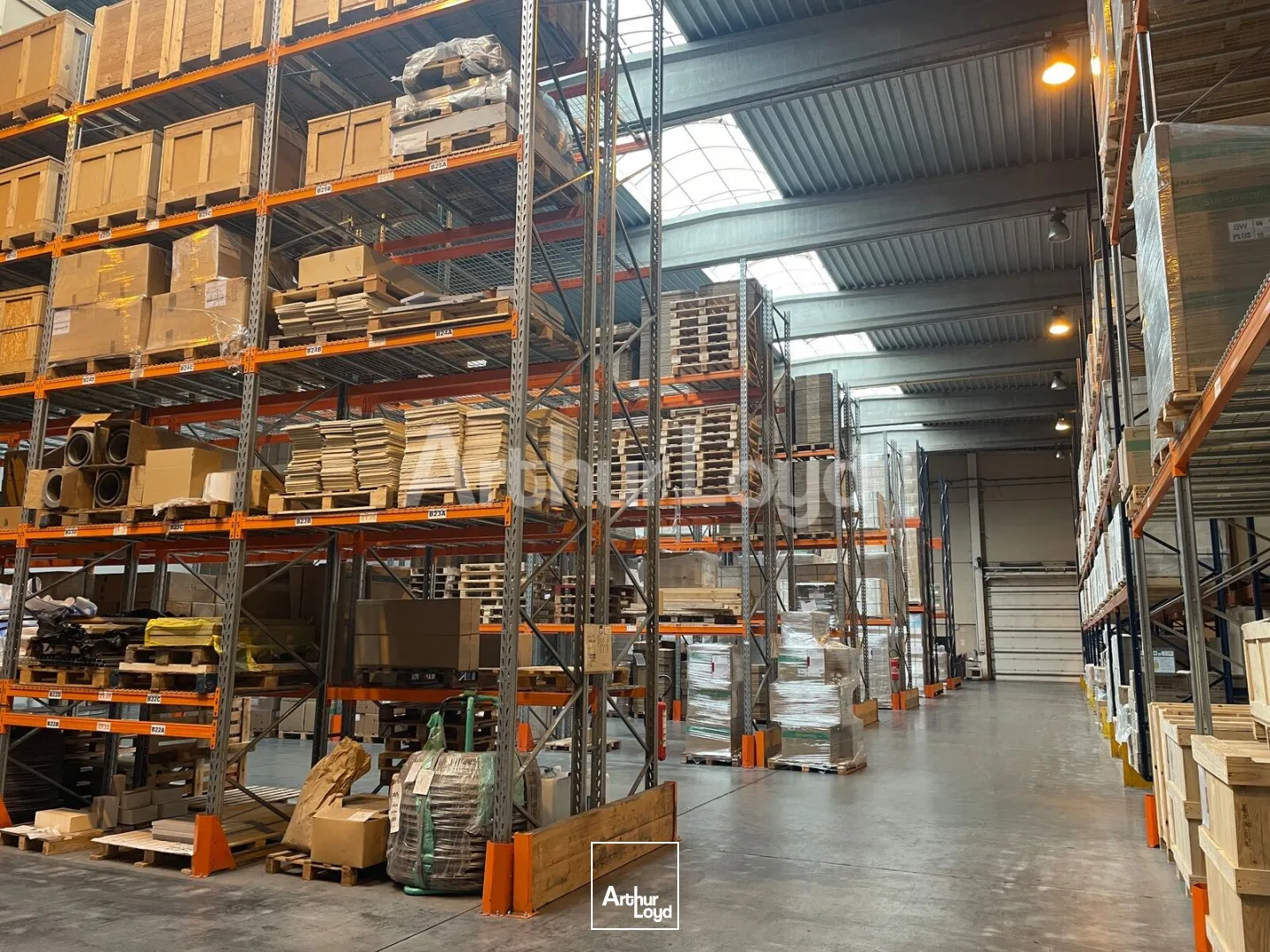 Locaux d'activité & Entrepôts - Vente - ROUVIGNIES - 59220 - 4732-4732 - 7725246