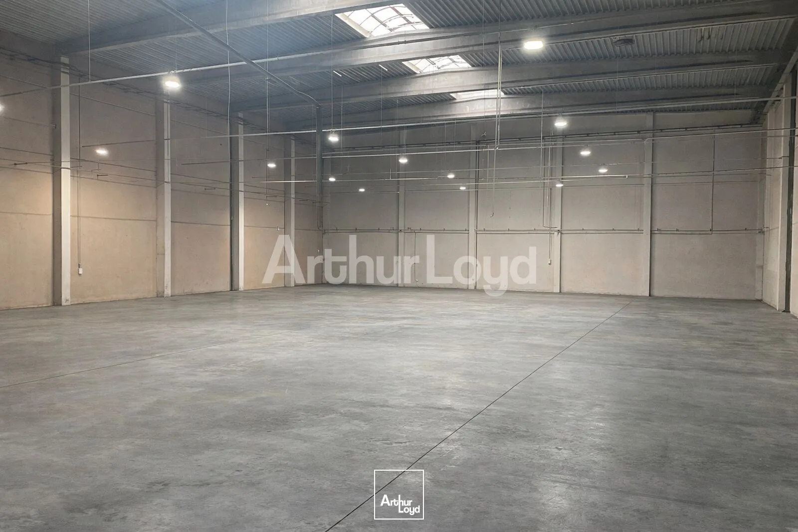 Locaux d'activité & Entrepôts - Vente - ROUVIGNIES - 59220 - 4732-4732 - 7725244