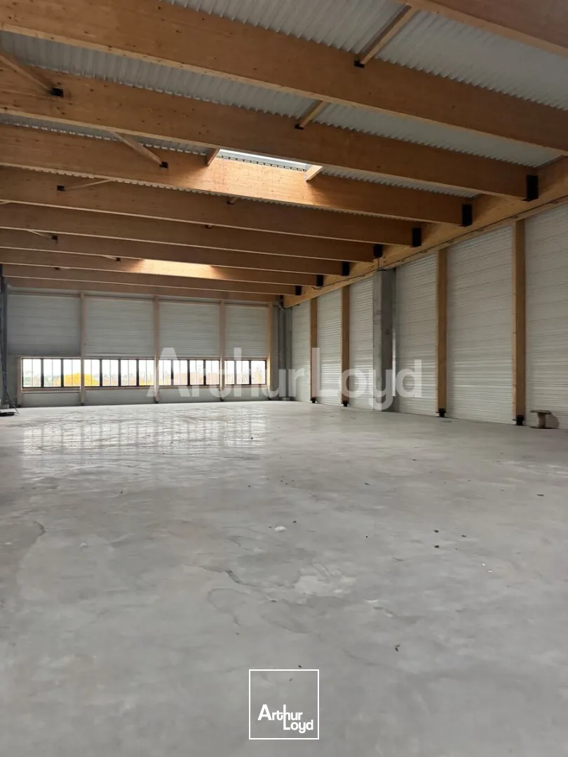 Locaux d'activité & Entrepôts - Location - LEZENNES - 59260 - 500-6000 - 7725290