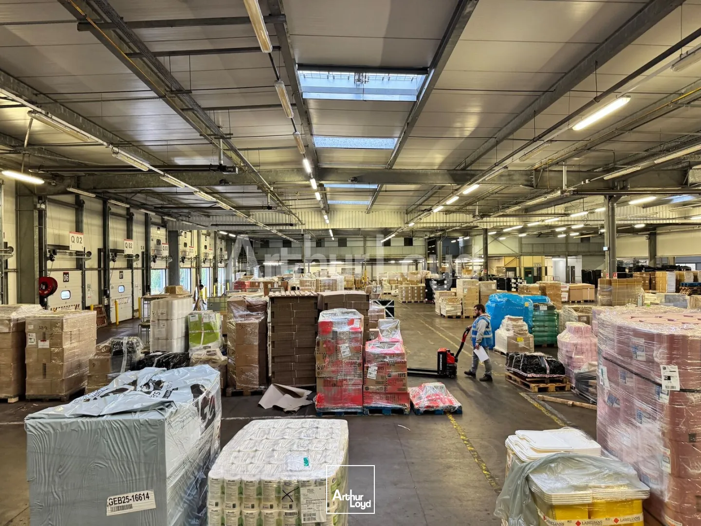 Locaux d'activité & Entrepôts - Location - LOMME - 59160 - 4664-4664 - 7725293