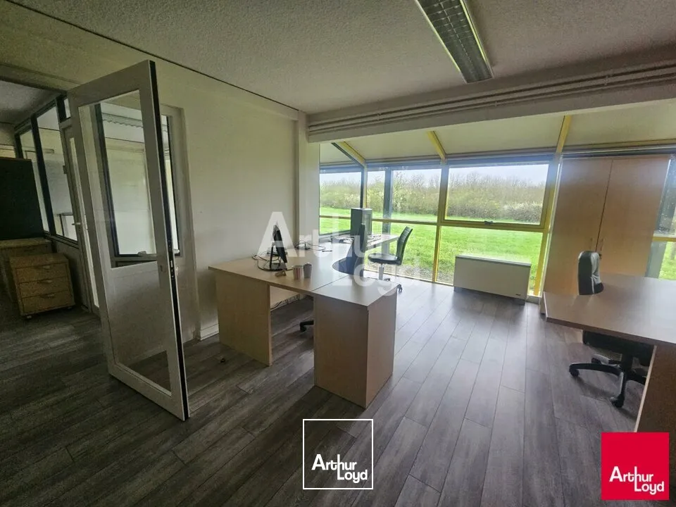 Bureaux - Location - AVRILLÉ - 49240 - 50-1440 - 7725447